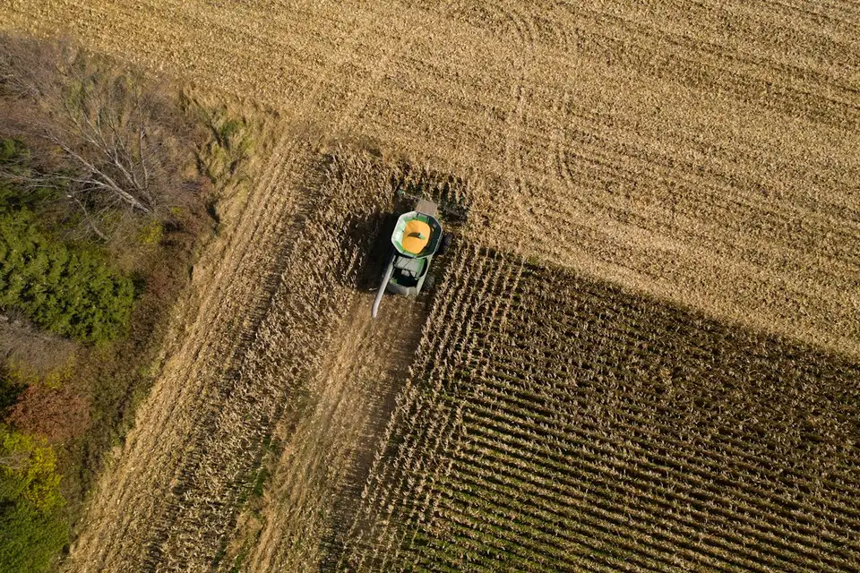 Ein Mähdrescher bei der Ernte auf einem Feld.
